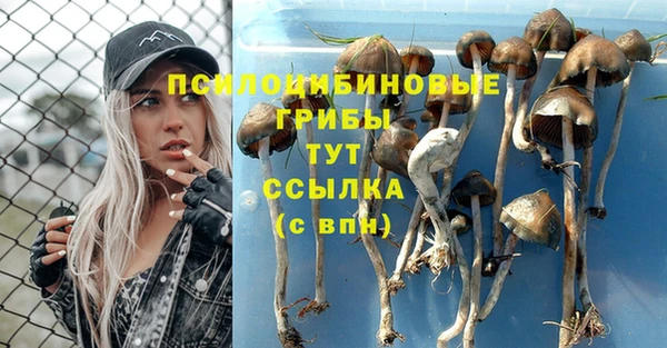 ПСИЛОЦИБИНОВЫЕ ГРИБЫ Зеленокумск