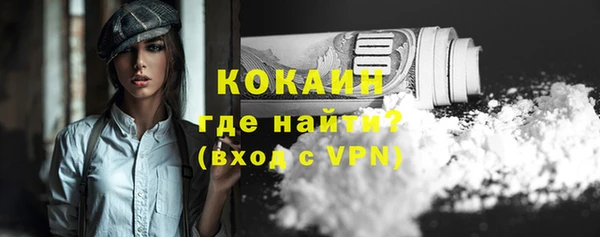 твердый Апатиты