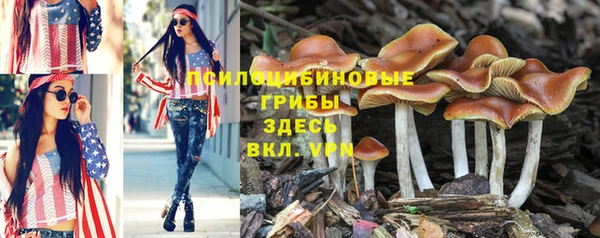 молекула духа Зерноград